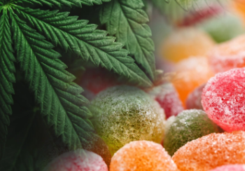 A Guide to Different Types of Delta 8 Edibles and Their Effects