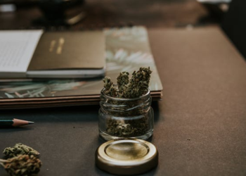 5 Delicious Ways To Consume Weed in North York