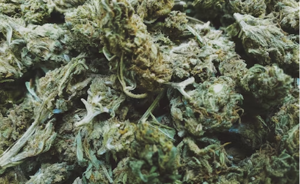 Things To Consider Before Ordering Hash Online In Canada