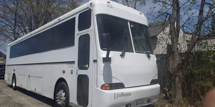 What is Mississauga party bus?