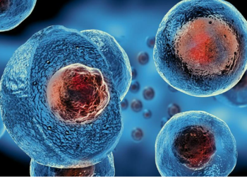 How Does Stem Cell Therapy Work & What Are the Available Treatments?