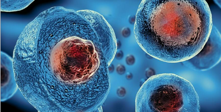 How Does Stem Cell Therapy Work & What Are the Available Treatments?