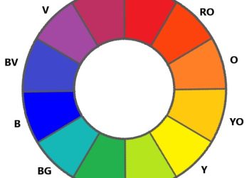 Understanding the Colour Wheel: How to Choose the Right Hair Colour