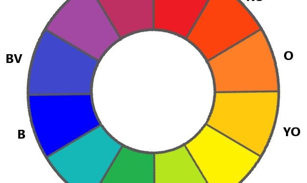 Understanding the Colour Wheel: How to Choose the Right Hair Colour