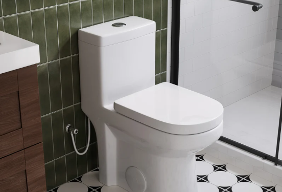 The Most Stylish One Piece Toilet for Modern Bathrooms