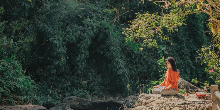 Navigating the Emotional Rollercoaster of a Psychedelic Ceremony